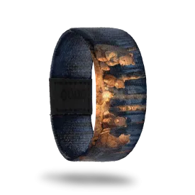 Bonfire Bonds