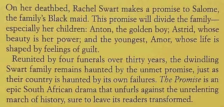 THE PROMISE - Damon Galgut